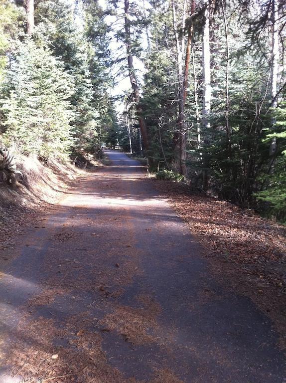 Elk Run Bed And Breakfast Evergreen Bagian luar foto